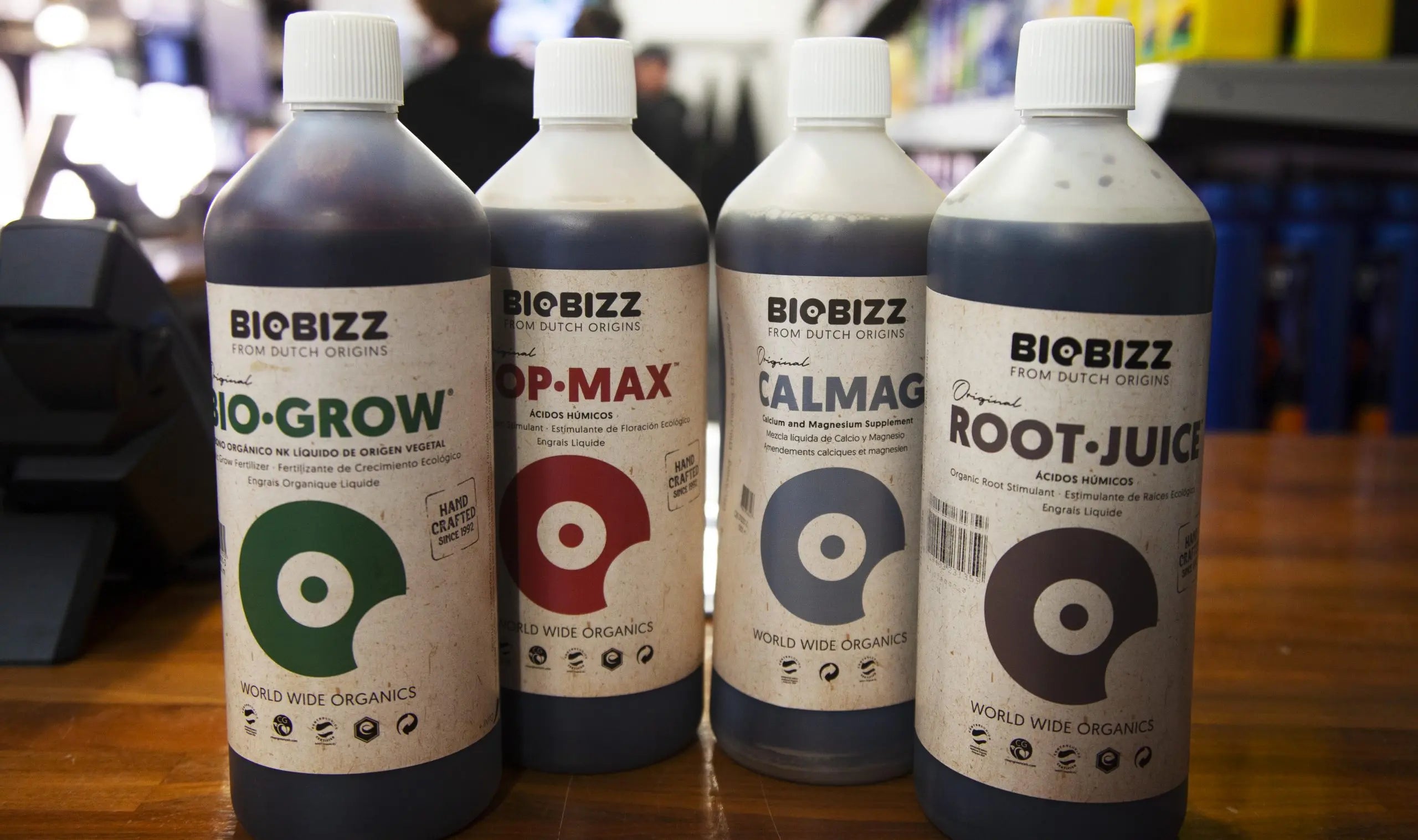 Hydroponics for Healthy Eating