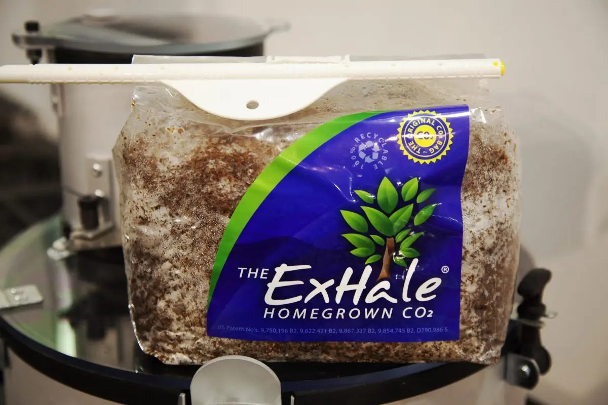 CO2 Supplementation Equipment and How to Use It