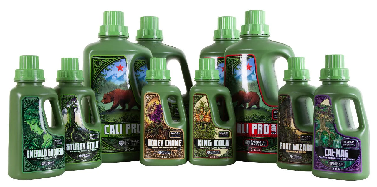 Why Everyone's Talking About Emerald Harvest