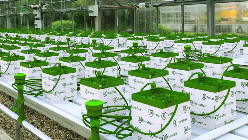 The Ultimate Guide to FloraFlex Systems – For Bigger, Healthier Plants