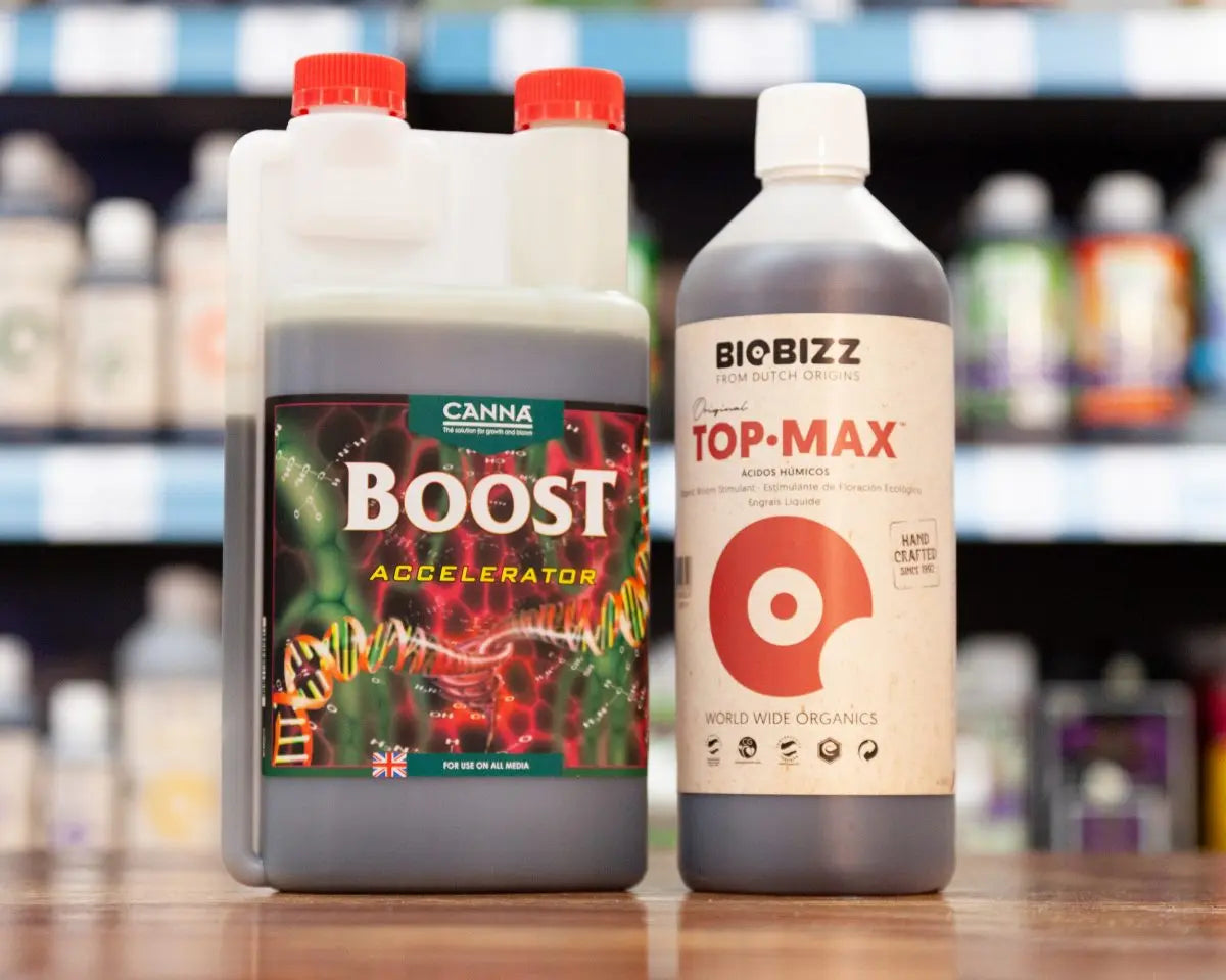 Mineral VS Organic Feeds