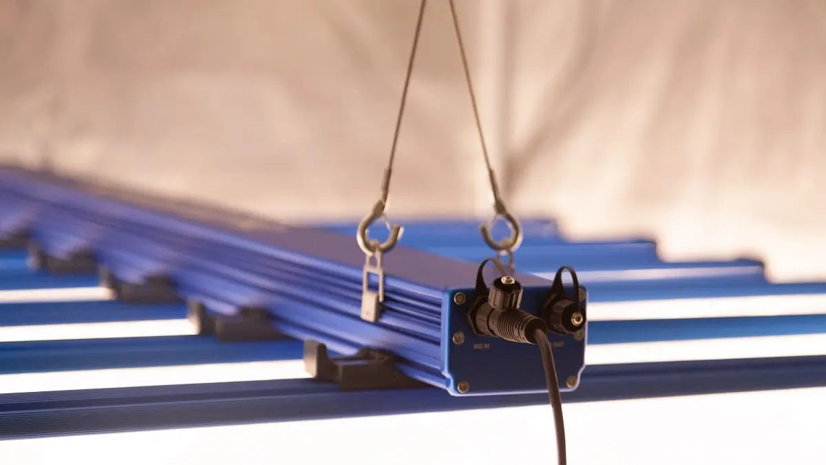 Introducing the New Maxibright 660w Daylight LED Range