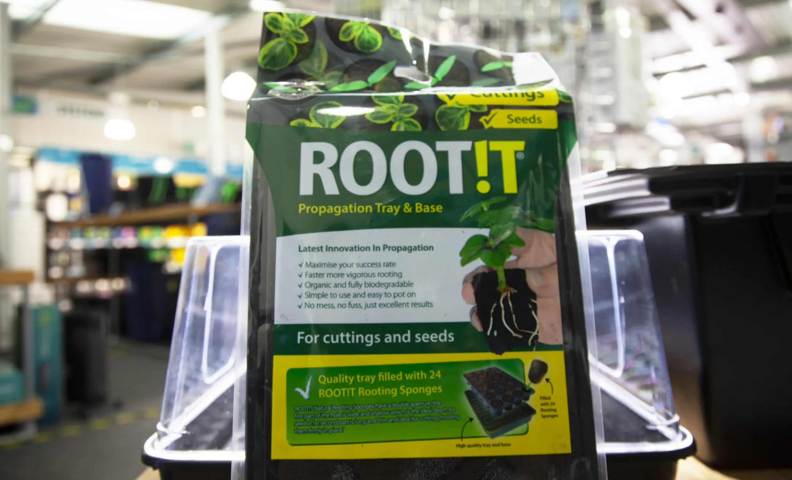 Starting Out in Hydroponics