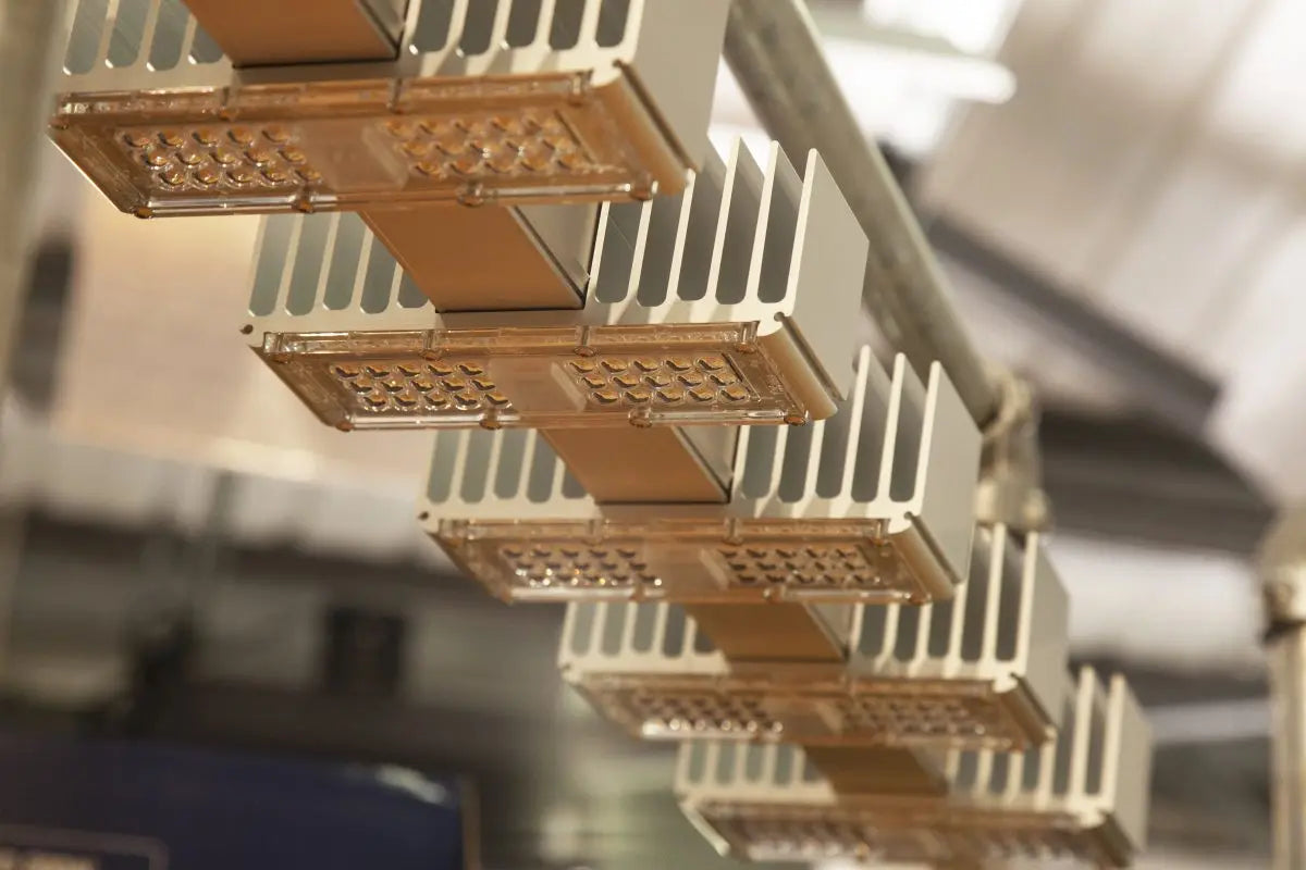 Introducing the Amazing SANlight Q6W