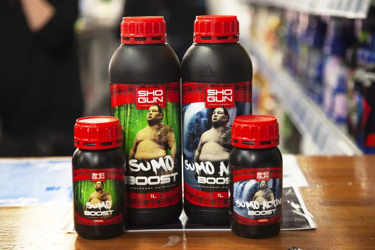 How to Increase Your Plant Yield