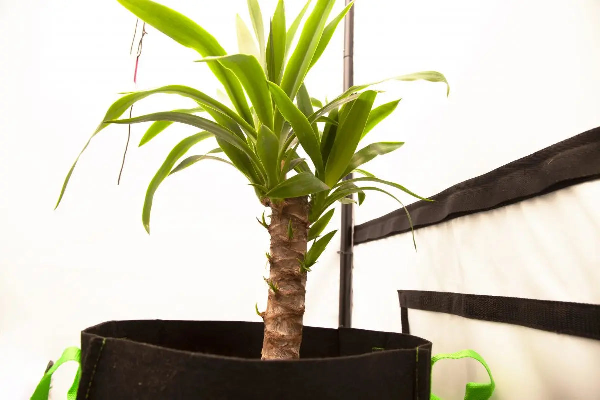 Nutrient Strength Meters