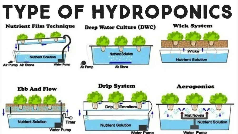 Types of Hydroponics