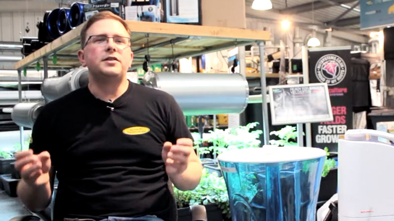 Vapour Pressure Deficit (VPD) Video Transcript