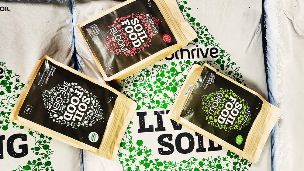 How to Grow Organically with Living Soil