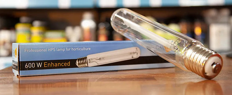 Budget Vs Pro HPS Lamps - Worth the Upgrade?