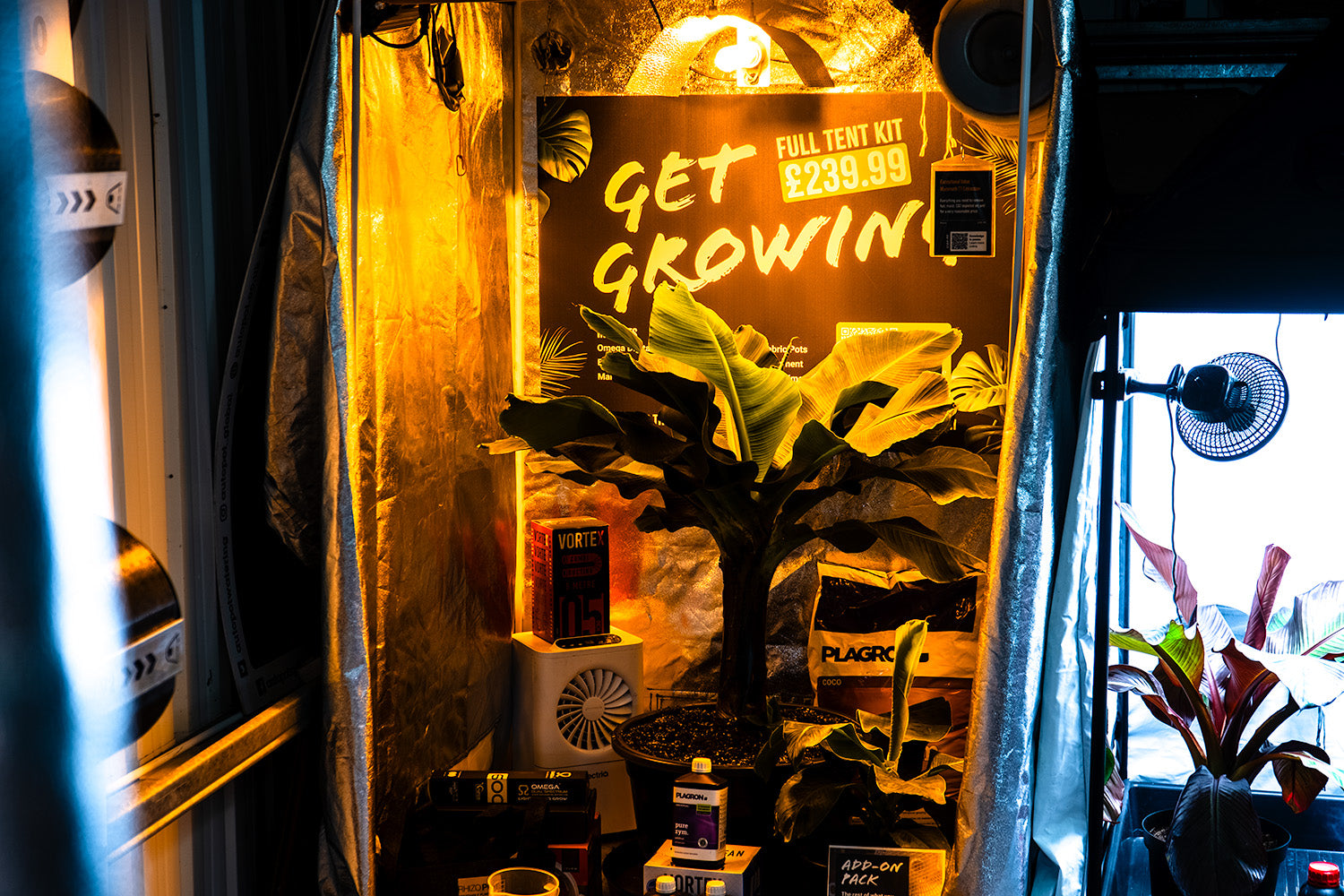 5 New Years Resolutions For Indoor Gardeners