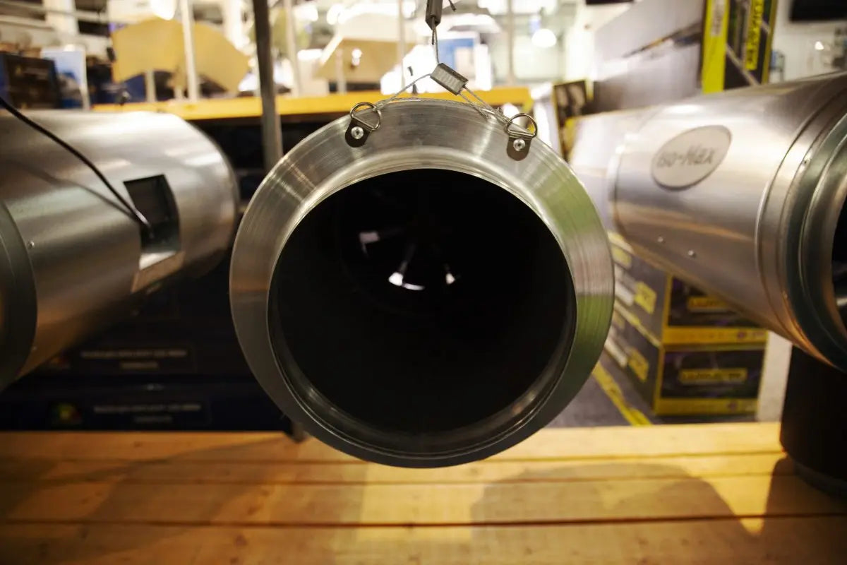 Budget vs Pro Carbon Filters - Which Should I Go For?