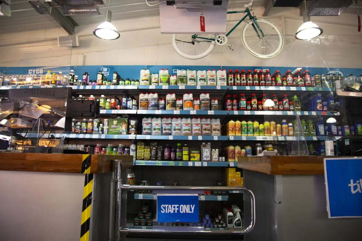 The Four Common Character Traits of a Hydroponic Grower