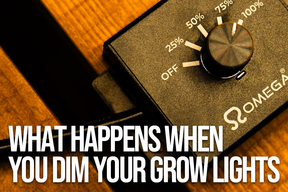 What happens when you dim your grow lights?