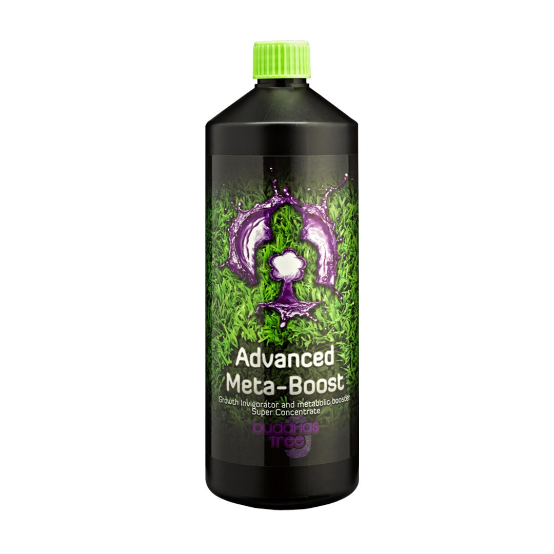 Buddhas Tree - Advanced Meta-Boost