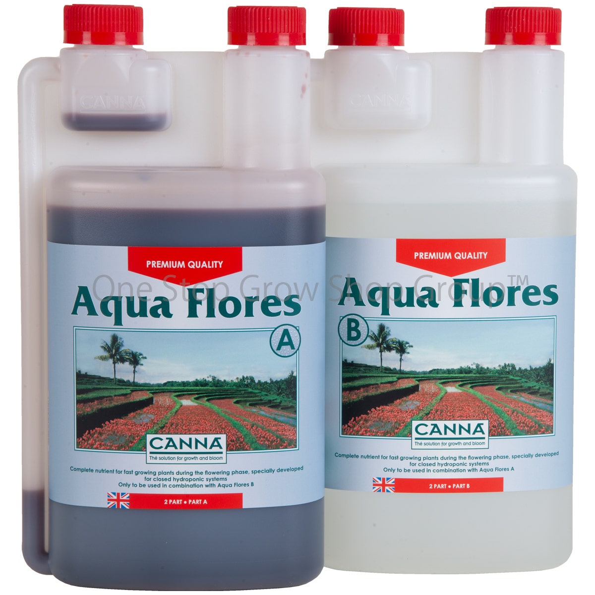 Canna Aqua Flores A&B