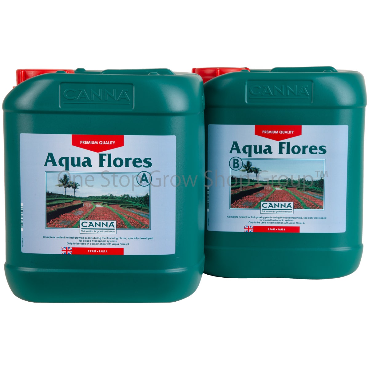 Canna Aqua Flores A&B