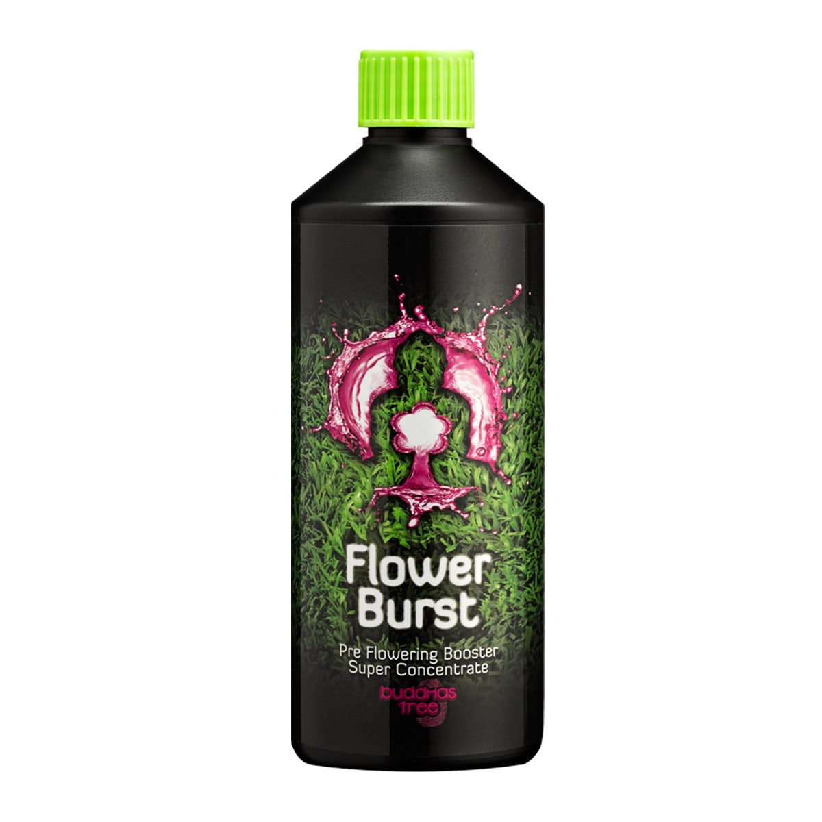 Buddhas Tree - Flower Burst