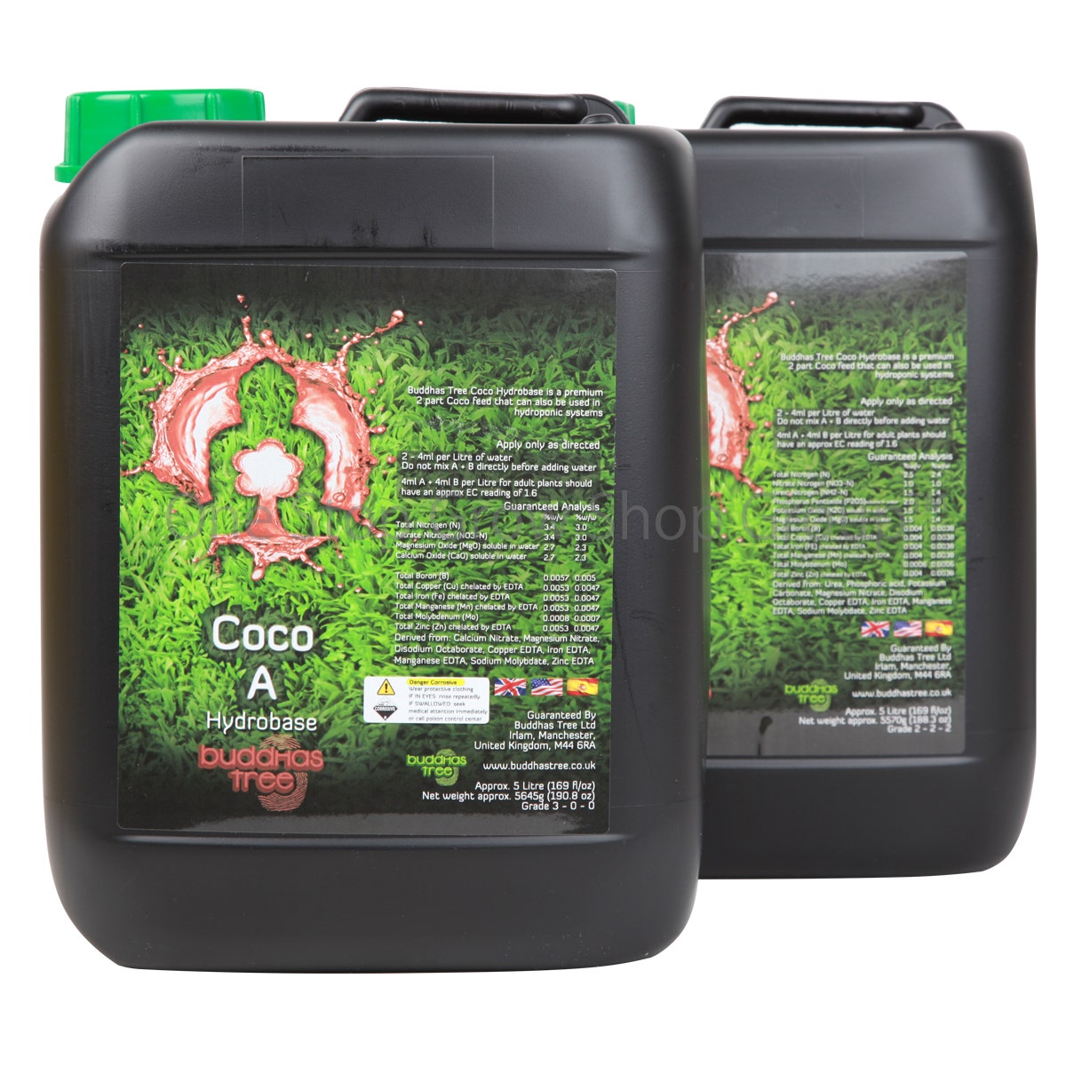 Buddhas Tree - Coco A&B