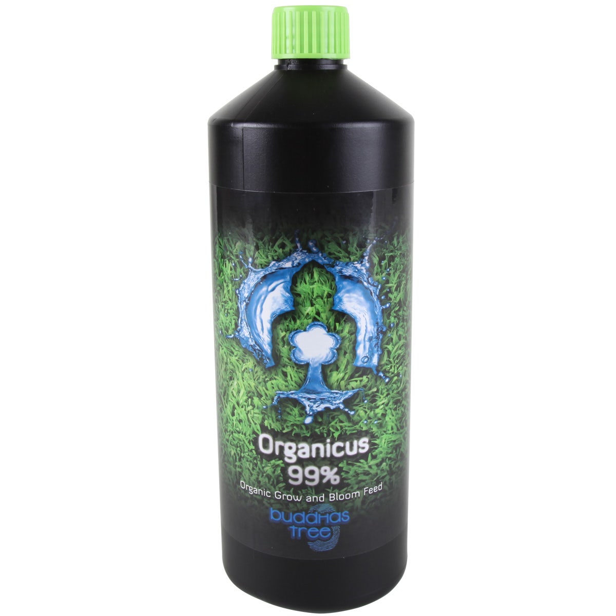Buddhas Tree - Organicus