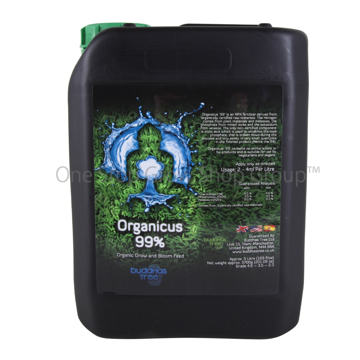 Buddhas Tree - Organicus