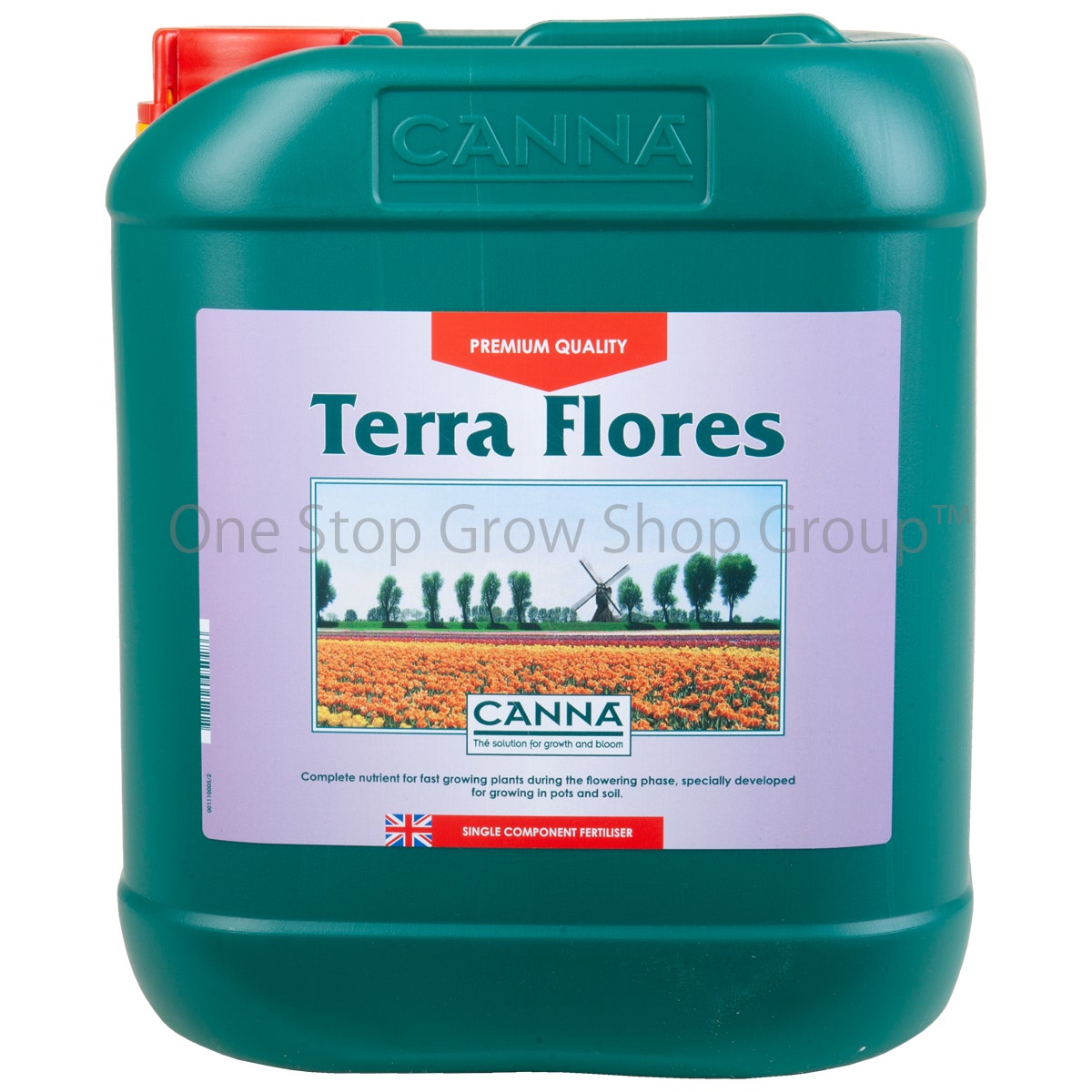 Canna Terra Flores