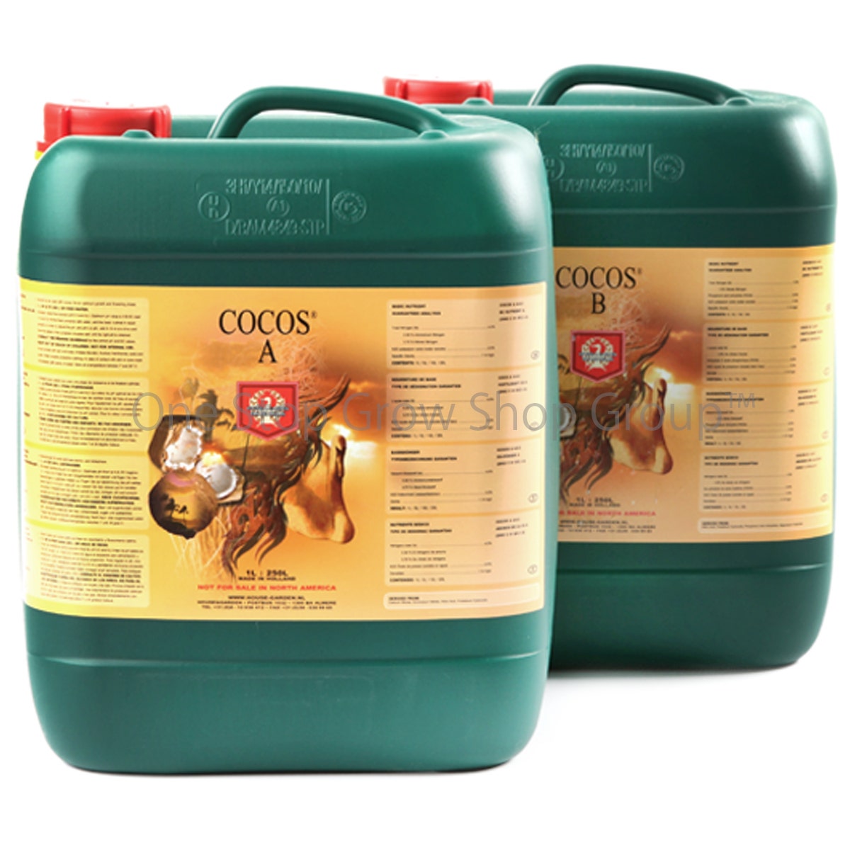 House & Garden Coco A&B