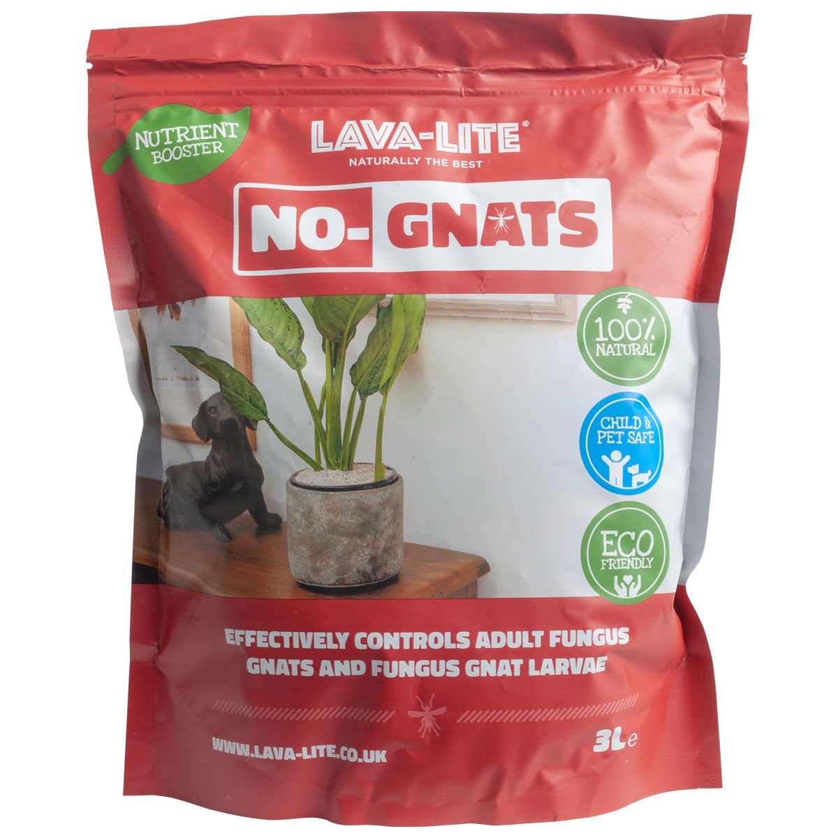 Lava Lite - No Gnats