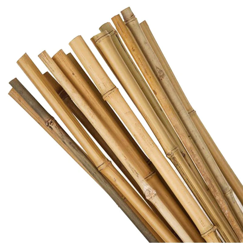 Bamboo Stakes