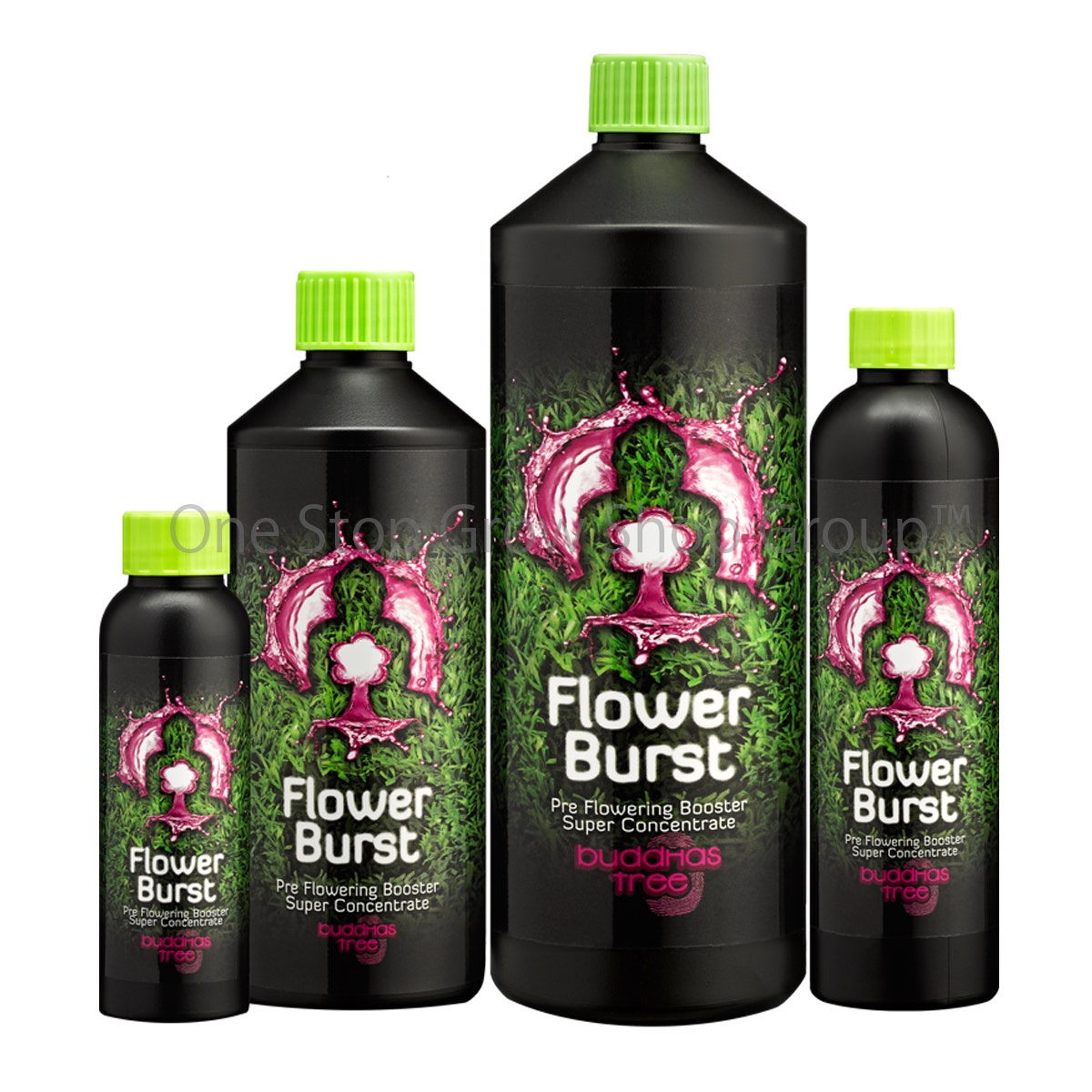 Buddhas Tree - Flower Burst