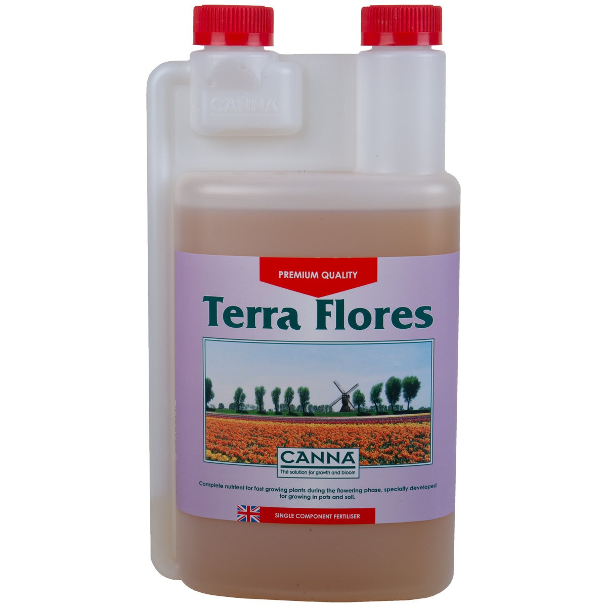 Canna Terra Flores