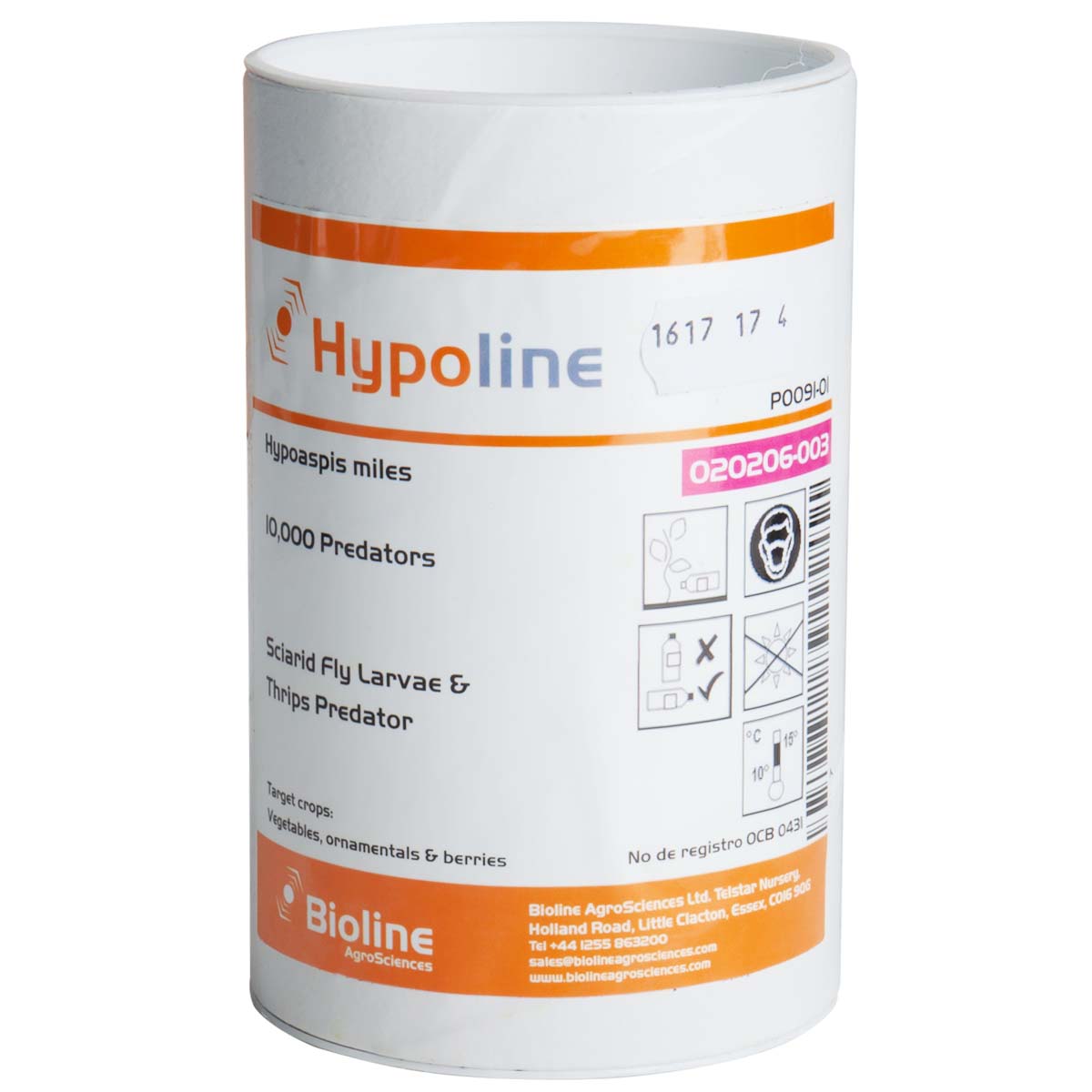 Hypoline (Hypoapsis miles)