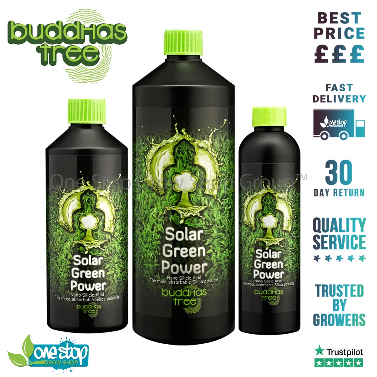 Buddhas Tree - Solar Green Power
