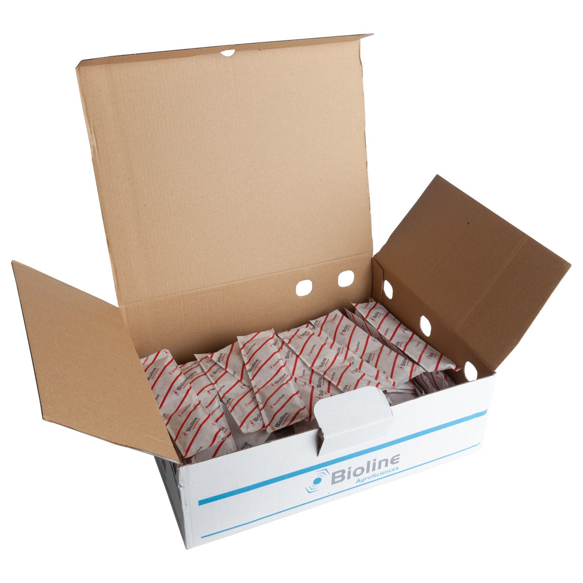 Spider Mite Predators (Amblyseius Andersoni) x 100