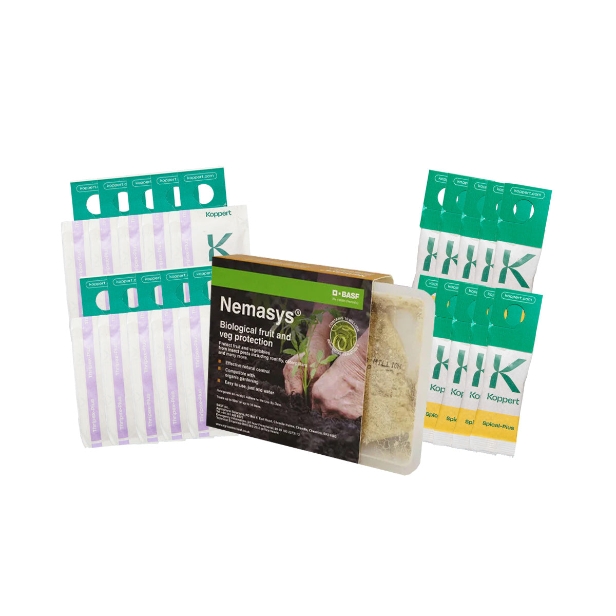 Natural Pest Preventative Kit for Thrips, Mites & Fungus Gnats (Live Predators)