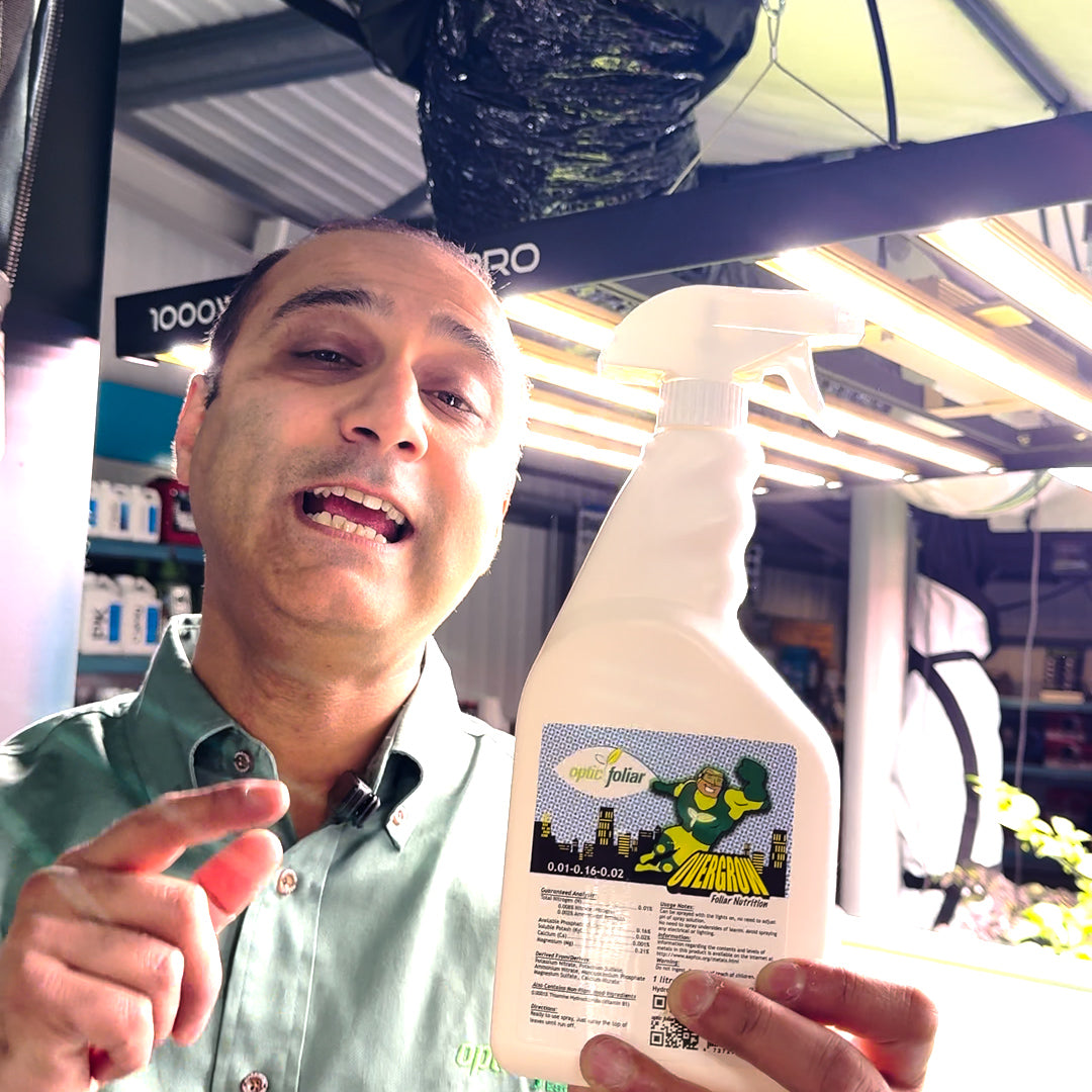 What is Optic Foliar Overgrow?