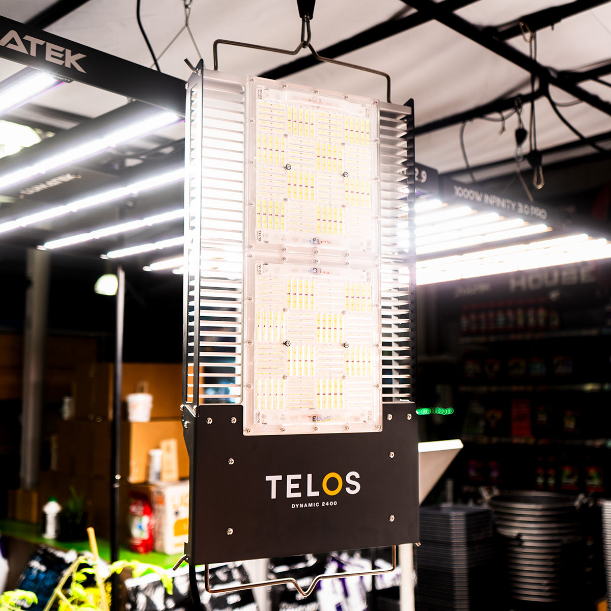 Telos Dynamic Hung in tent