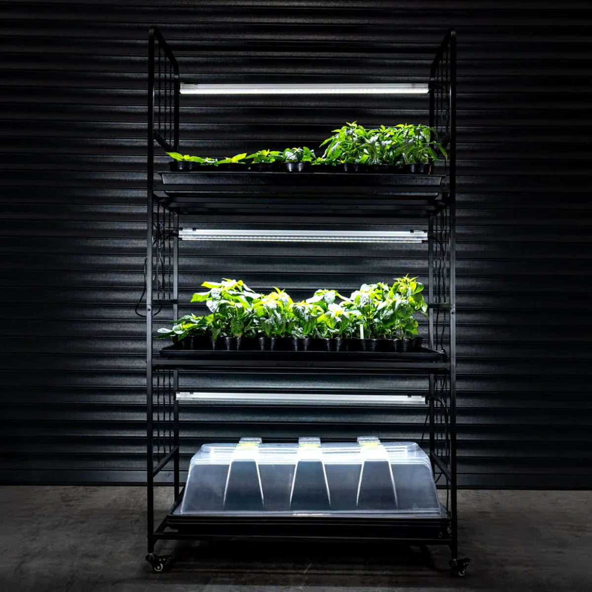 X-Stream Propagation Racking System