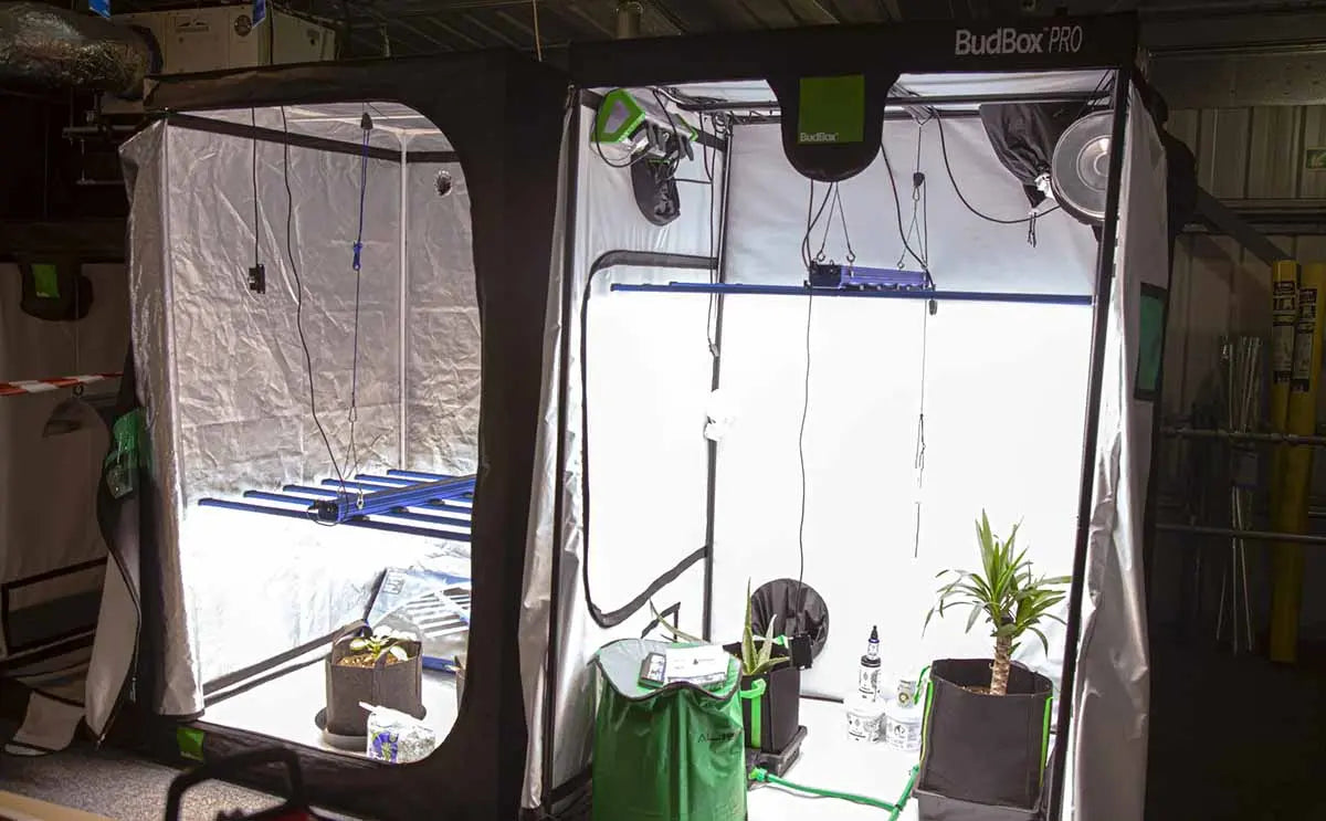 Which Internal Lining Is Best for a Grow Tent – White or Silver?