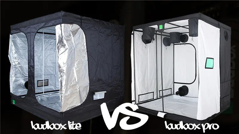 BudBox Lite vs BudBox Pro