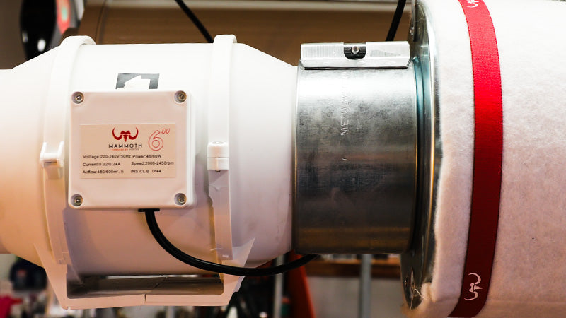 Active Intake vs Passive Vents: How to Get Perfect Airflow in Your Grow Tent