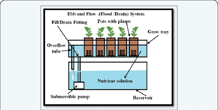 Which is the Best Hydroponics System for Me?