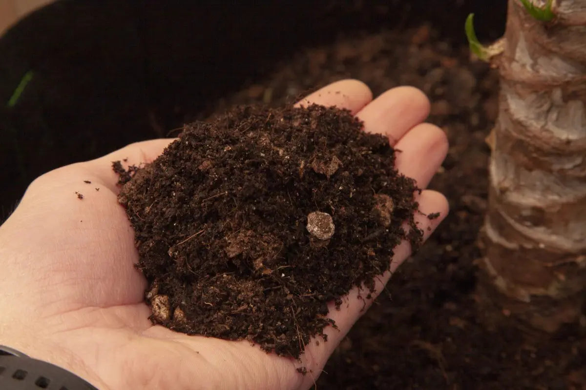 What is Eco-Life Soil – With Gareth (Ecothrive) & Ben (Indoor Organics)