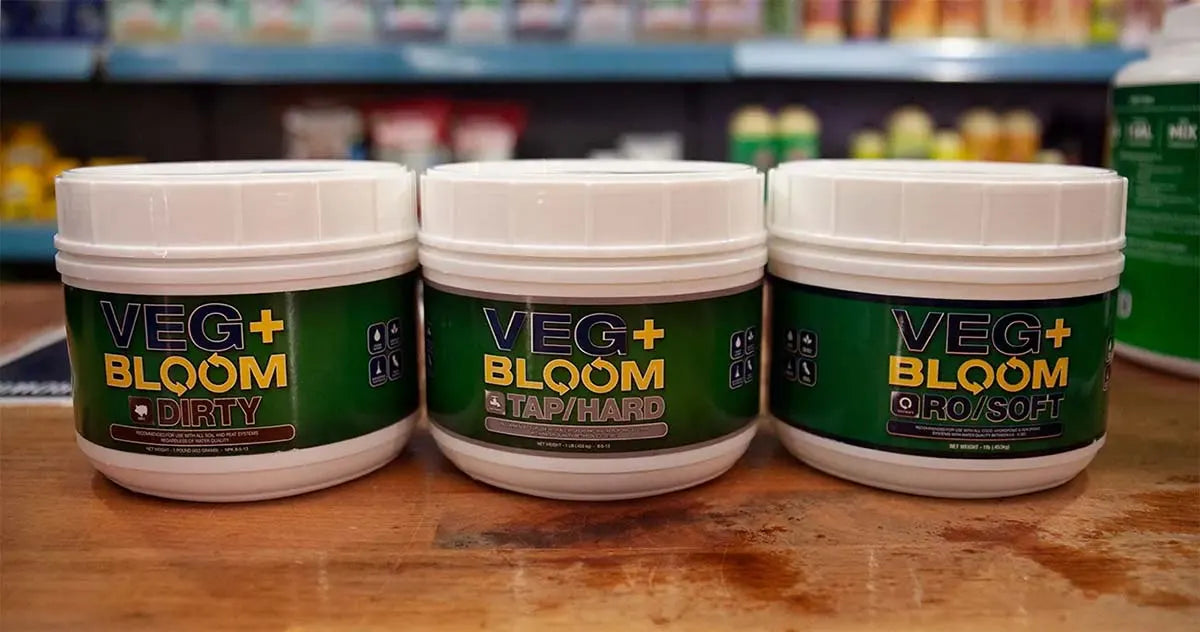 Veg+Bloom: Simple Feeding Plans - Big Results!