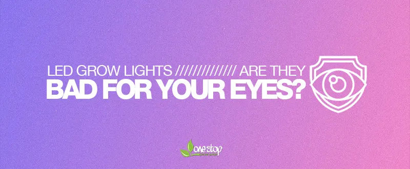 Are LED Grow Lights Bad For Your Eyes?