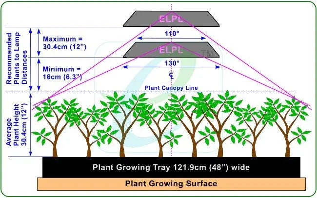 Grow Light Height – How Low Can You Go?