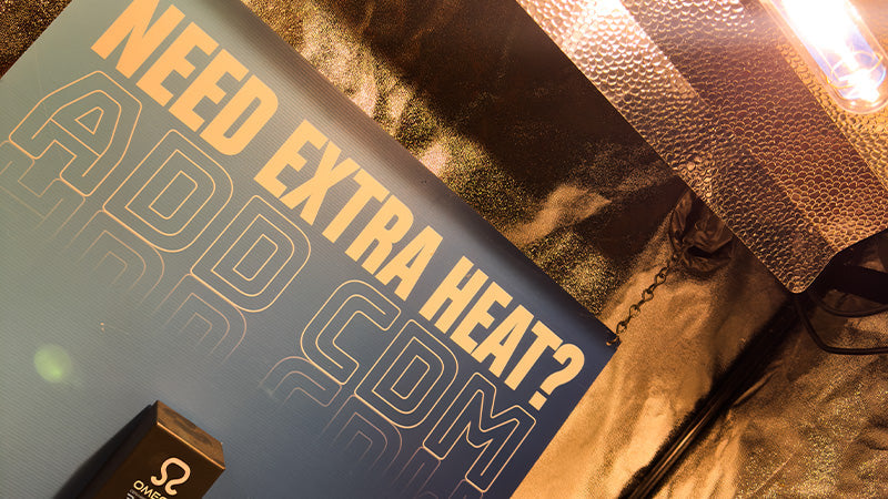 How to Heat a Grow Tent with LED Lights in Winter: Why CDM Still Makes Sense in 2026