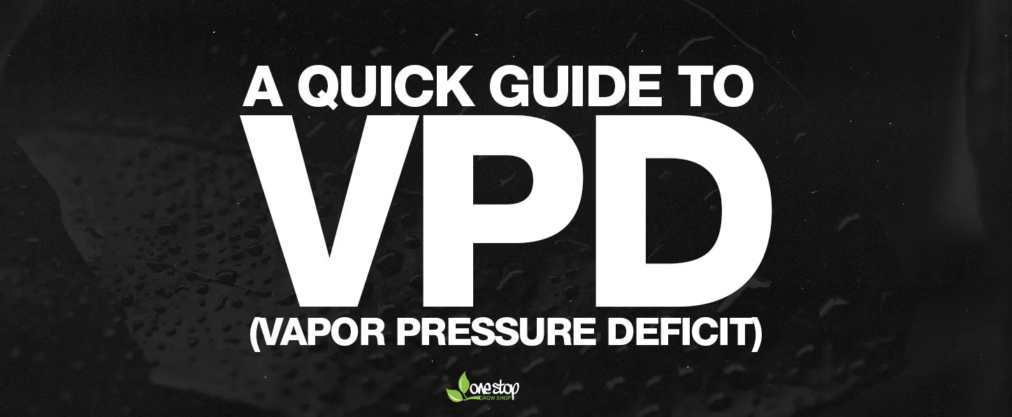 A Quick Guide to VPD (Vapor Pressure Deficit)