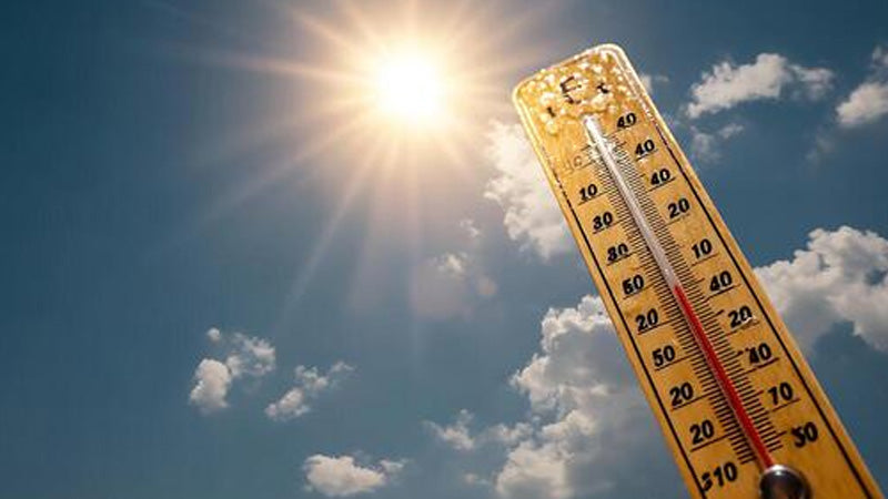Warm Weather and Choosing an Extraction System
