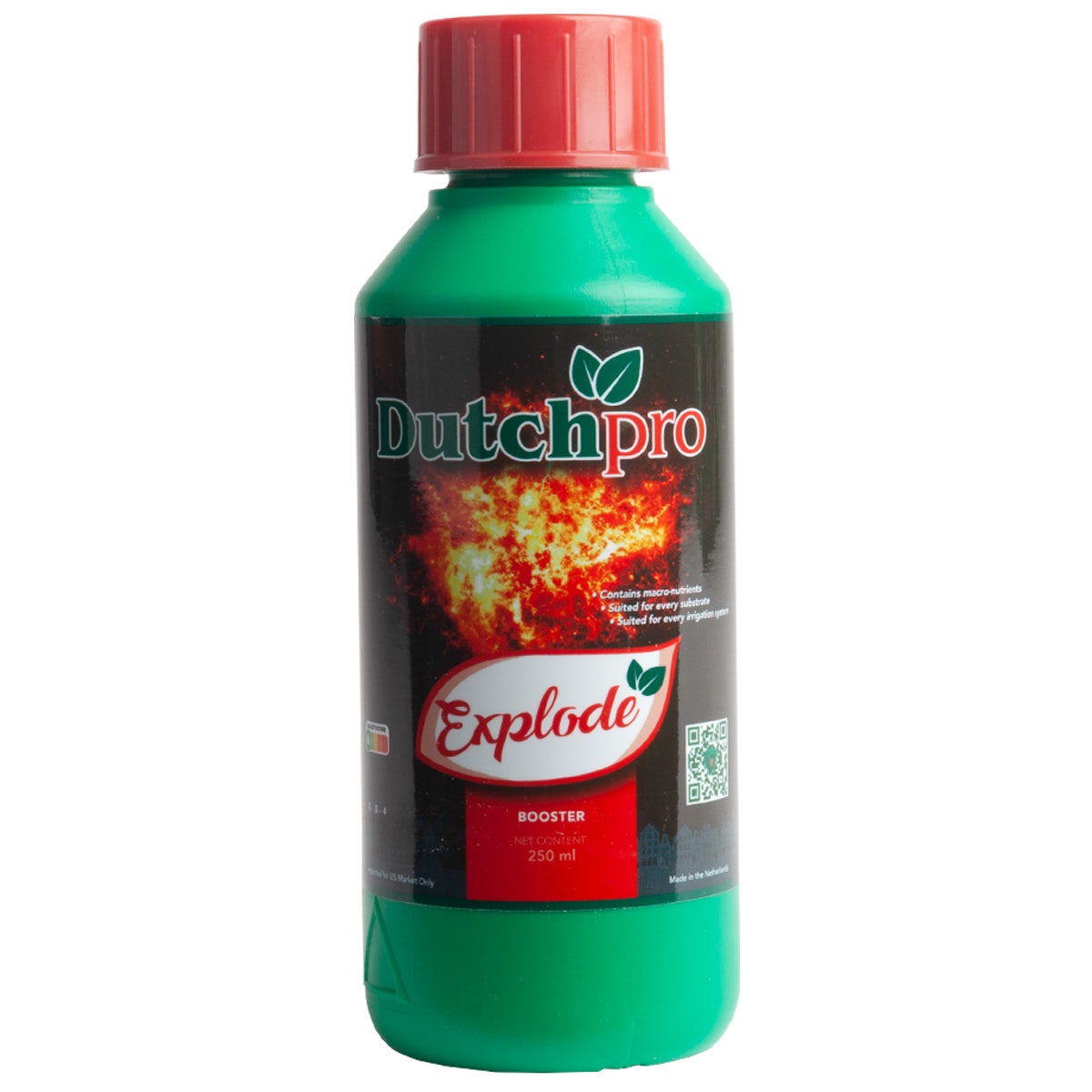 Dutch Pro - Explode